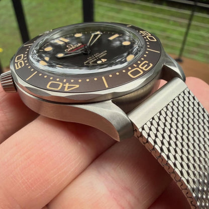 Omega Seamaster Diver 300M